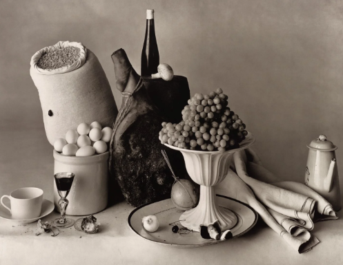 Historical Foundations of Still Life Photography
