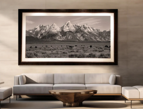 The Emotional Impact of Black and White Photography