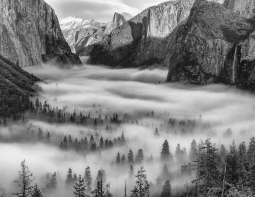 The Enduring Impact of Ansel Adams’ Work