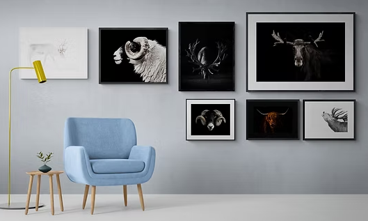 The Importance of Wall Art Photography