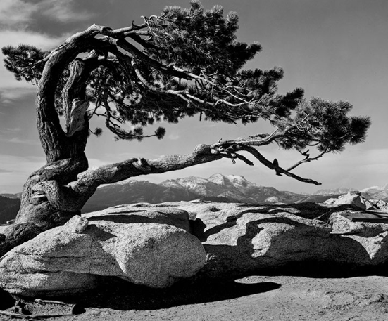 The Legacy of Ansel Adams' Vision