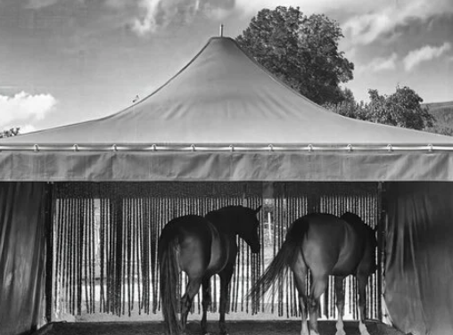 The Power of Contrast