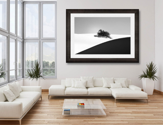 The Role of Black and White in Modern Art