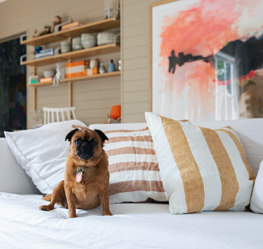 The Role of Dog Art in Home Decor