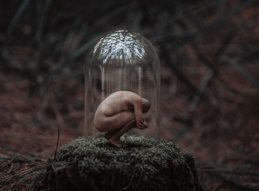 The Role of Emotions in Photography