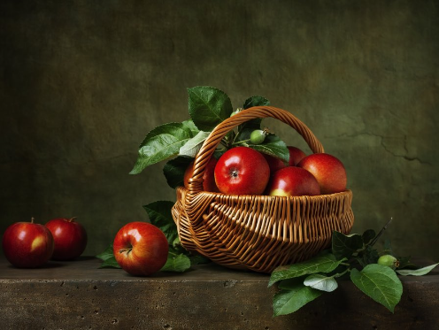 What Defines Still Life Photographers