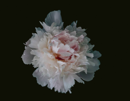 Where to Purchase Fine Art Photography2