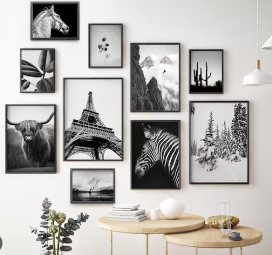 black and white photo art