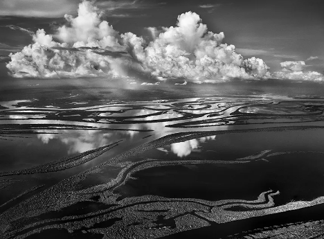 contemporary photographers