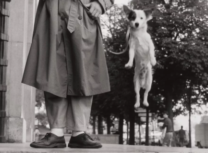 elliott erwitt photos