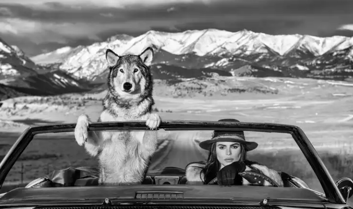 david yarrow photography for sale