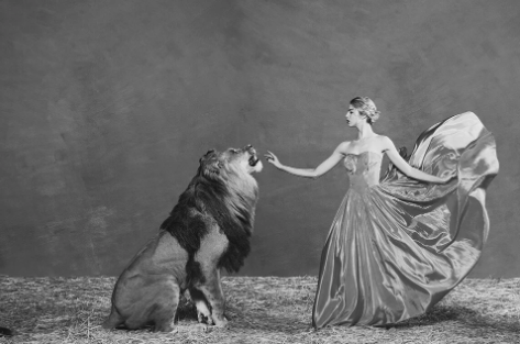 tyler shields photography