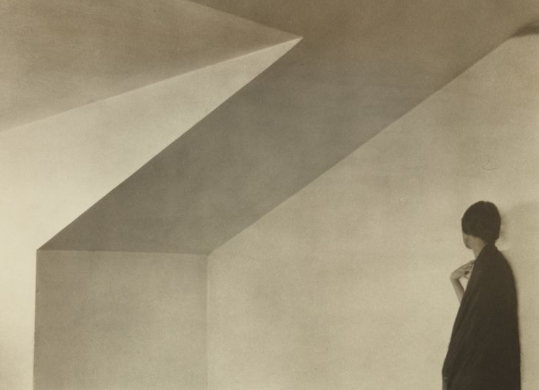 Capturing Life in Stunning Detail