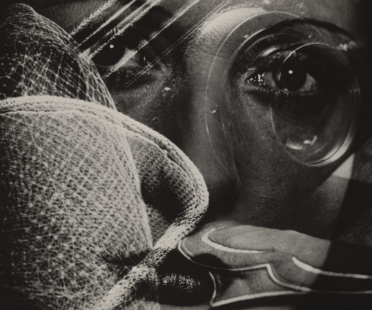 Cultural Impact and Legacy