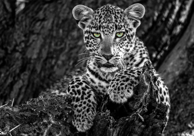 Embracing Sustainability in Photography