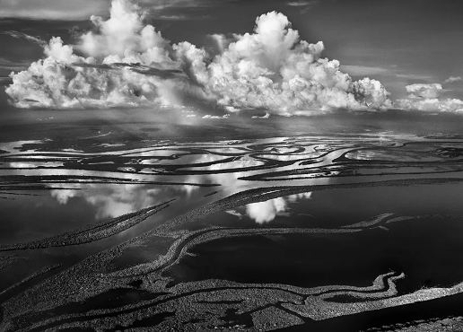 Exploring the World of Contemporary Art Photographers