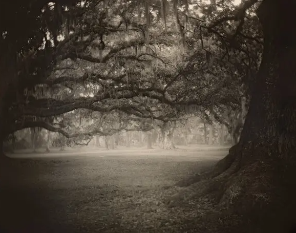 The Allure of the Southern Landscape