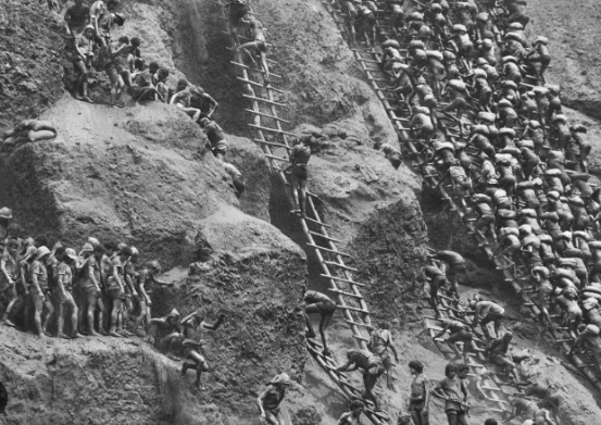 The Bold Perspectives of Sebastian Salgado