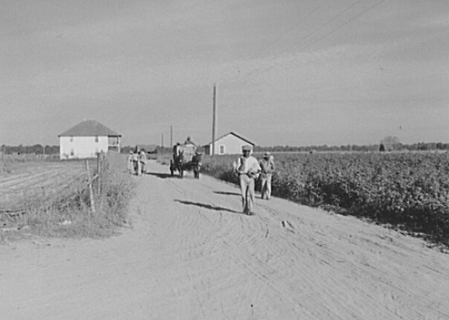 The Impact of the Southern Landscape