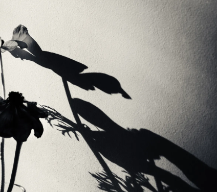 The Innovator of Light and Shadow