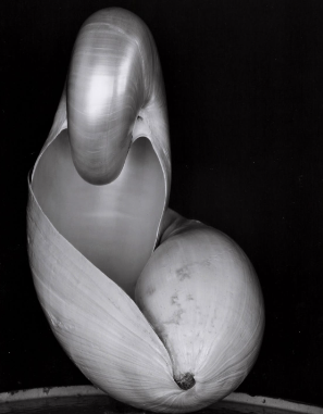 The Role of Light and Shadow