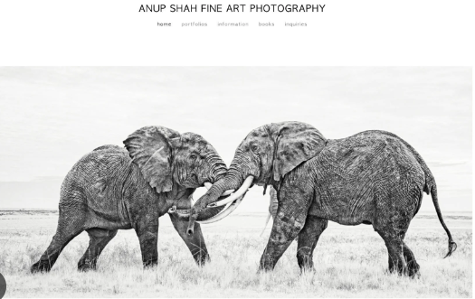 Top Features to Look for in Art Photography Websites