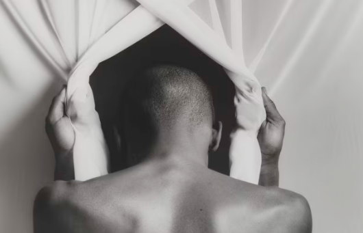 Understanding the Value of Mapplethorpe's Photography2