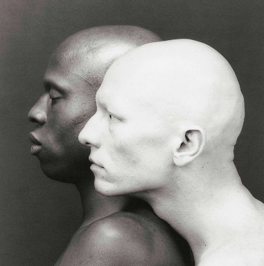 robert mapplethorpe photos for sale