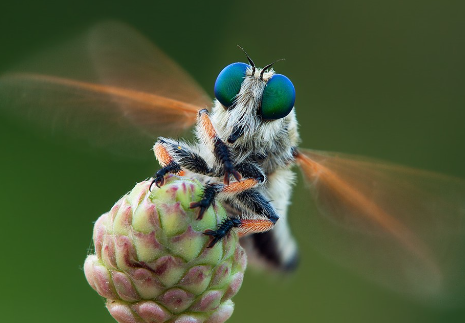 Choosing the Right Location and Timing