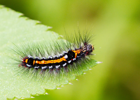 Equipment and Techniques