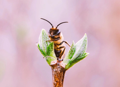 Ethical Photography Practices