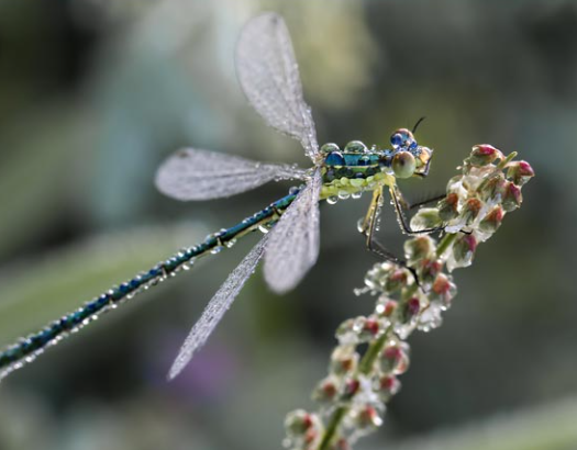 Setting Up for the Perfect Shot