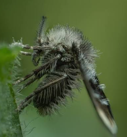 1. Understanding Macro Photography Basics