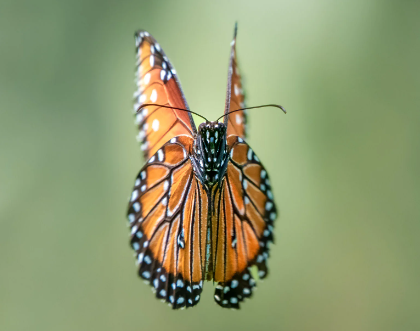 3. Post-Processing Techniques for Enhancing Your Shots