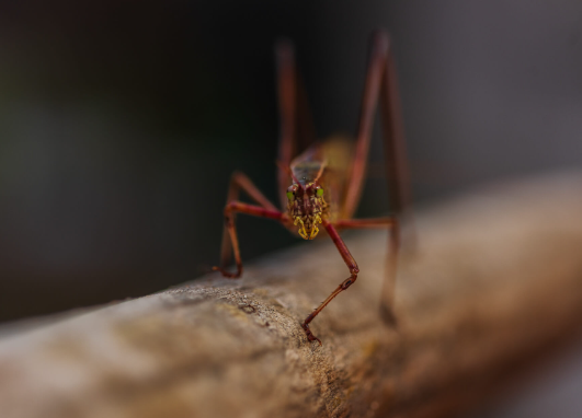 3. Post-Processing to Enhance Textures