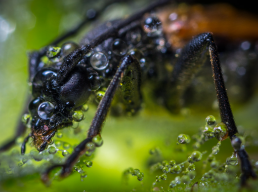 4. Post-Processing Your Images