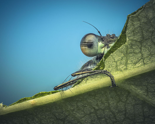 4. Post-Processing Your Images