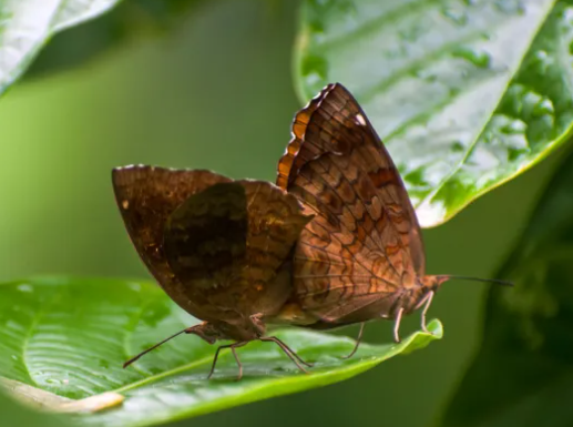 4. Post-Processing for Enhanced Clarity
